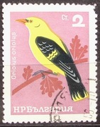 Bułgaria 1965 r. Fauna Ptaki