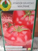 Pomidor 'Maliniak' nasiona