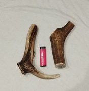 Poroże zestaw 2 szt naturalny Gryzak  dla psa  17-20 cm 