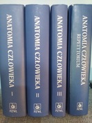 Anatomia Bochenek, tomy 1-3 + Repetytorium, 2016