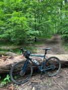 Rower Gravel Marin Nicasio 2 M/54cm