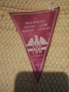 Proporczyk lll wojewódzkie igrzyska letnie młodzieży szkolnej 