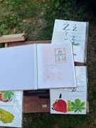 Sprzedam edukacyjne zabawki ,literki