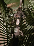 Amtortyzato lewy przód Jeep Cherokee KL polift Trailhawk 68381243AD