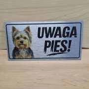 Tabliczka Ostrzegawcza „UWAGA PIES!” – York (Yorkshire Terrier)