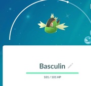 Pokemon Go Shiny Czerwony Basculin Trade