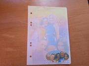 Karteczki do segregatora kartka A5 do albumu Spice Girls