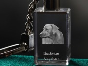 Rhodesian Ridgeback brelok sześcienny ŚWIECĄCY 