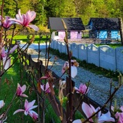 Domki letniskowe wynajem