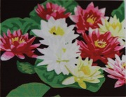Malowanka po numerach 40x50  lilie obraz na ramie