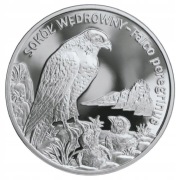 20 ZŁOTYCH 2008 - SOKÓŁ WĘDROWNY - MENNICZA
