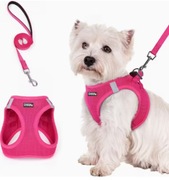 Zestaw szelki i smyczy dla psa typu "Step-In"