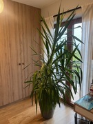 Sprzeam Juke 220 cm Kraków okolice