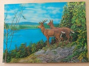 pocztówka 3D kartka pocztowa JAPONIA TOKIO dla kolekcjonera VINTAGE Toppan