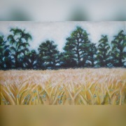 Obraz  "Pole jęczmienia"