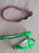 Obroża i szelki dla malego pieska lub kota