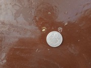 Moneta 50gr 1976 Polska Rzeczpospolita Ludowa kolekcjonerska