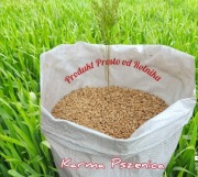 Pszenica Karma 25 kg 