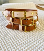 Obroża dla psa z klamrą z taśmy Biothane 