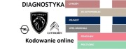 Diagnostyka Kodowanie ONLINE Citroen Peugeot DS OPEL PSA Stellantis Diagbox