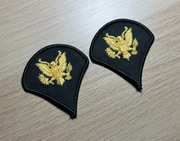 Naszywka - US Army - Specialist 4 E-4 (Green/Gold) SPC - para