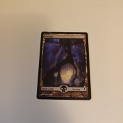 Swamp - Full Art MTG land