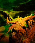 Bagienny Smok - Figurka 32mm 14K zgodna z DnD RPG Pathfinder Warhammer