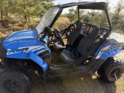 Quad Buggy Polaris RZR 170