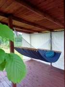 Działka ROD w Lędzinach z domkiem z dużym tarasem.