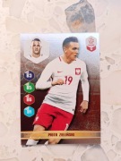 KARTA kolekcjonerska DUMNI Z NASZYCH Biedronka nr 13 Zieliński 19