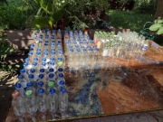 Butelki na sok 250 i 300ml z zakrętkami i bez 