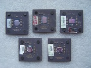 Zestaw starych Procesorów porcelanowych AMD z lat 2001-2002 sztuk 5