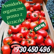 Pomidorki ekoNatura prosto z krzaczka   Smart!