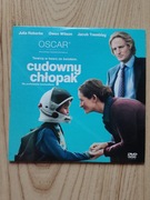 Cudowny chlopak plyta DVD