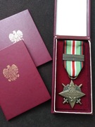 Gwiazda Afganistanu, sygnet weterana i parę innych.