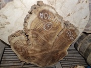 MORWA 67/63/7,5cm Blat Plaster Drewna Stolik Żywica DIY ART Epoxy Wysuszony