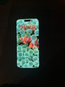 iPhone 16 proMax