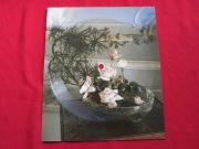 BOBBY VINTON my melody POCZTÓWKA DŹWIĘKOWA NOWA