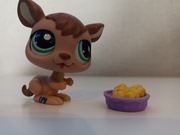 Littlest pet shop kangur #1465 + kukurydza 