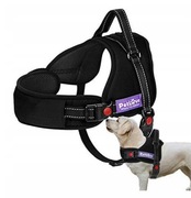 PetLove No Pull szelki dla psa r.M