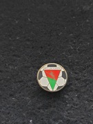 Lublinianka Lublin odznaka woj. lubelskie (2)