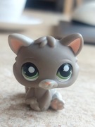 LPS rzadki kotek oryginał 