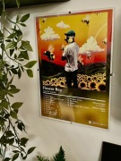 Plakat "Flower Boy" Tyler, The Creator