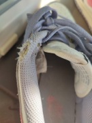 Obuwie sportowe Nike dunke