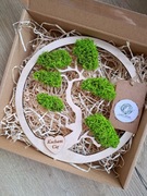 Drzewko bonsai z chrobotkiem na dzień babci i dziadka zapakowane na prezent