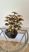 Drzewko Bonsai w innej wersji