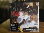 Płyta winylowa N.W.A - Efil4zaggin