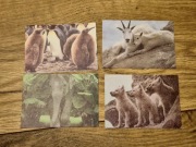 Karteczki kolekcjonerskie notesowe A7