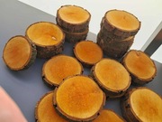 Krążki olchowe plastry na stroik zestaw 20 sztuk