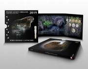 Polskie monety obiegowe 2019 Bóbr blister zestaw